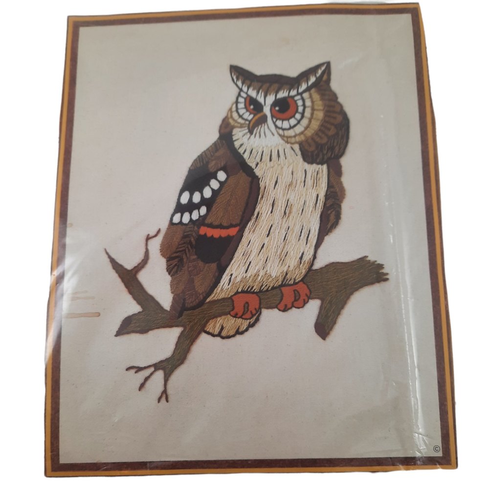 Sunset Designs Majestic Owl Embroidery Craft Kit 16X20